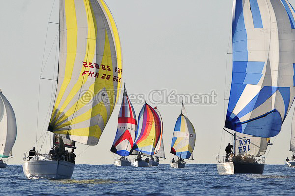vinsbandol__009