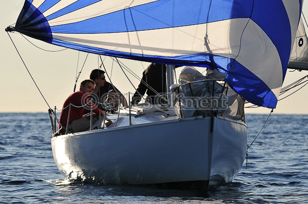 vinsbandol__022