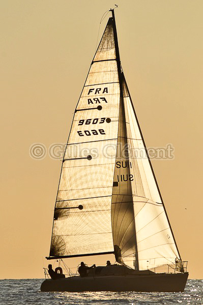 vinsbandol__023