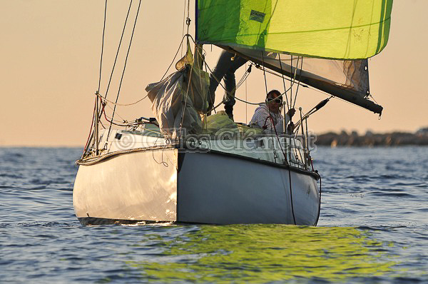 vinsbandol__024