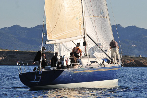 vinsbandol__050