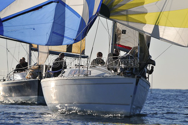 vinsbandol__083