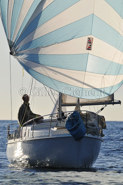 vinsbandol__102
