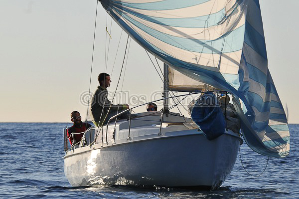 vinsbandol__103