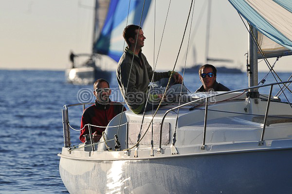 vinsbandol__104