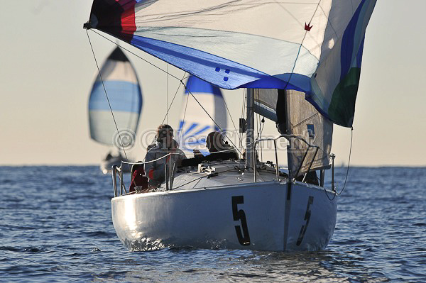 vinsbandol__113