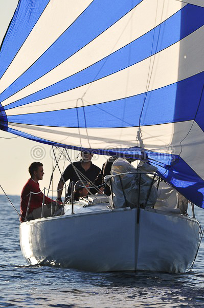 vinsbandol__117