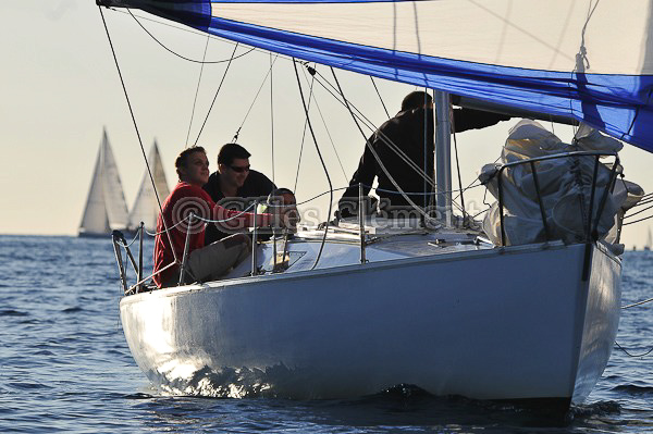 vinsbandol__118