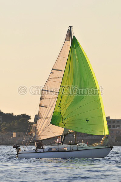 vinsbandol__120