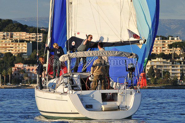 vinsbandol__127