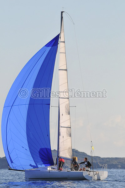 vinsbandol__137