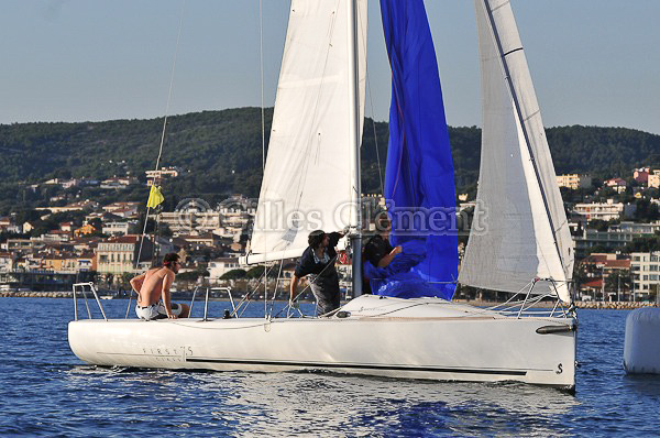 vinsbandol__145