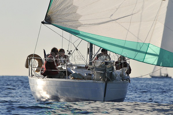 vinsbandol__152