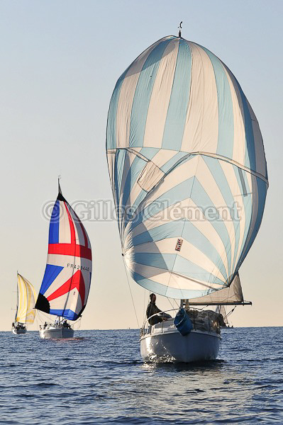vinsbandol__156