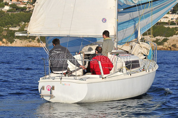 vinsbandol__158
