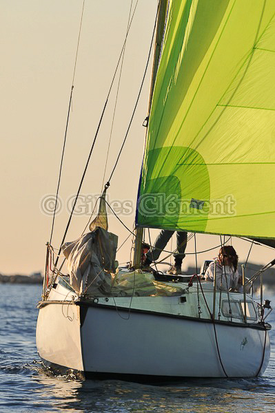 vinsbandol__170